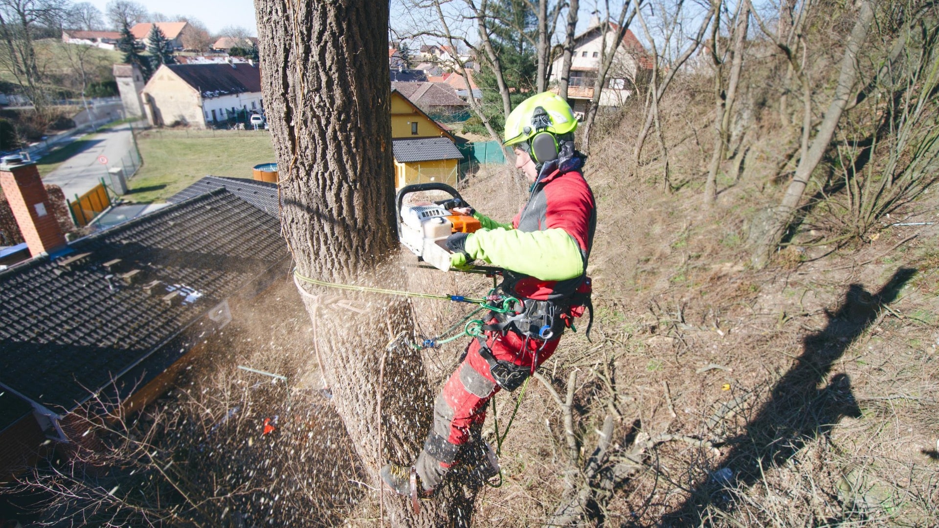 Carolina Tree Removal Pros of Greenville Image